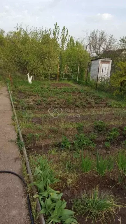 Дом в Волгоградская область, Среднеахтубинский район, Фрунзенское ... - Фото 2