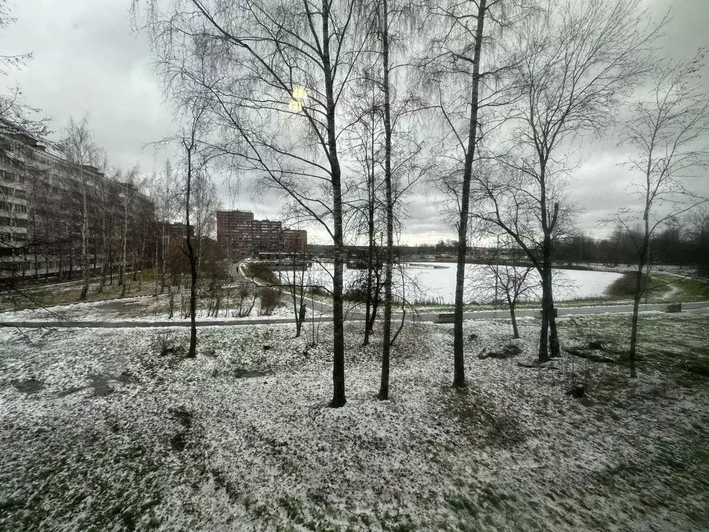 1-к кв. Московская область, Клин Клинская ул., 4к2 (32.6 м) - Фото 2