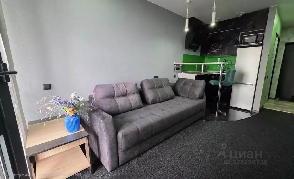 Студия Краснодарский край, Сочи Центральный мкр, пер. Горького, 24к1 ... - Фото 1