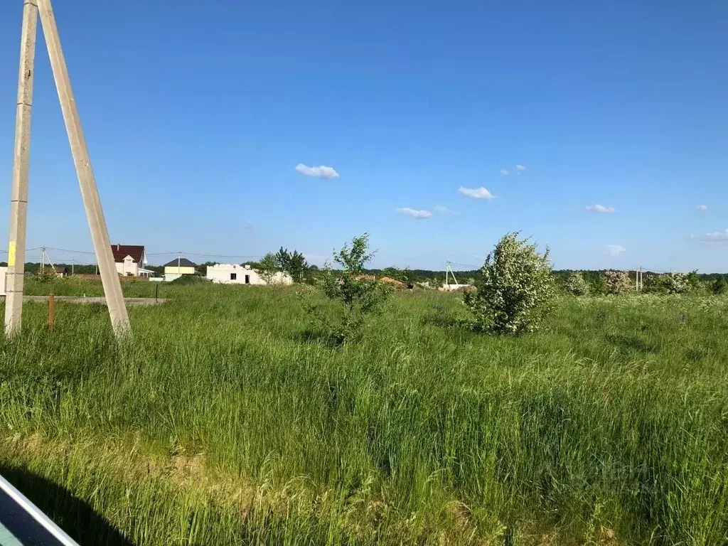 Участок в Калининградская область, Зеленоградский муниципальный округ, ... - Фото 1