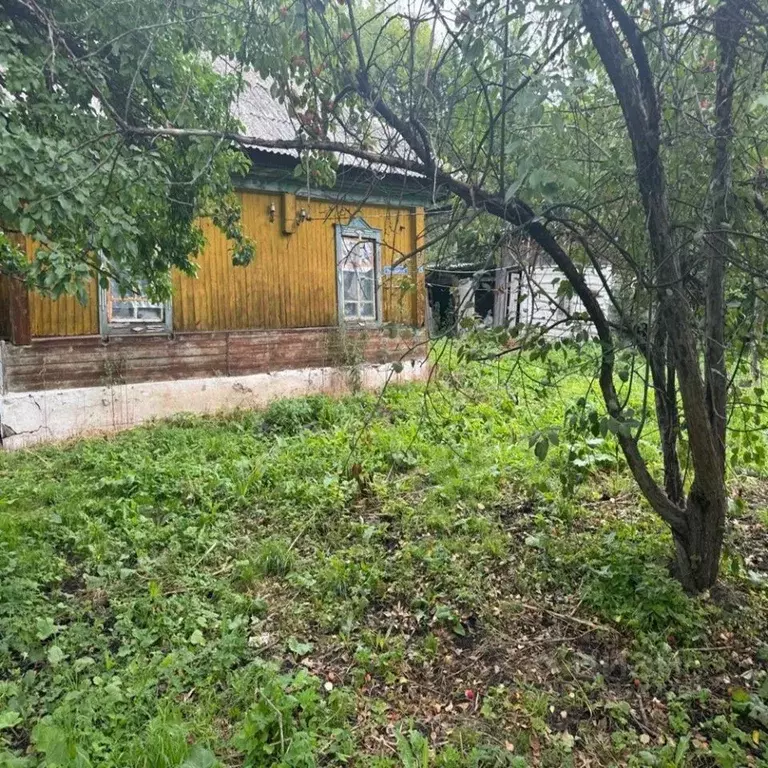 Дом в Алтай, Майминский район, с. Кызыл-Озек ул. Пушкина, 10 (40 м) - Фото 1