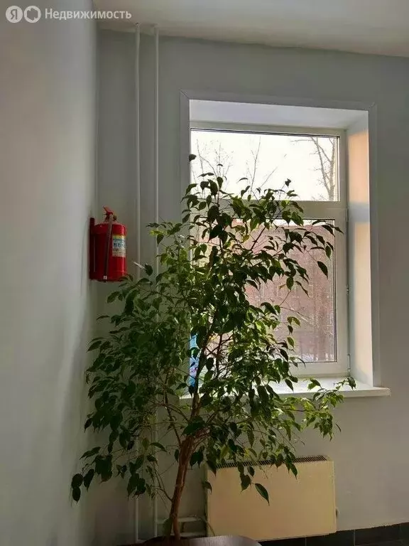 2-комнатная квартира: Москва, 2-я Ямская улица, 11 (42 м) - Фото 2