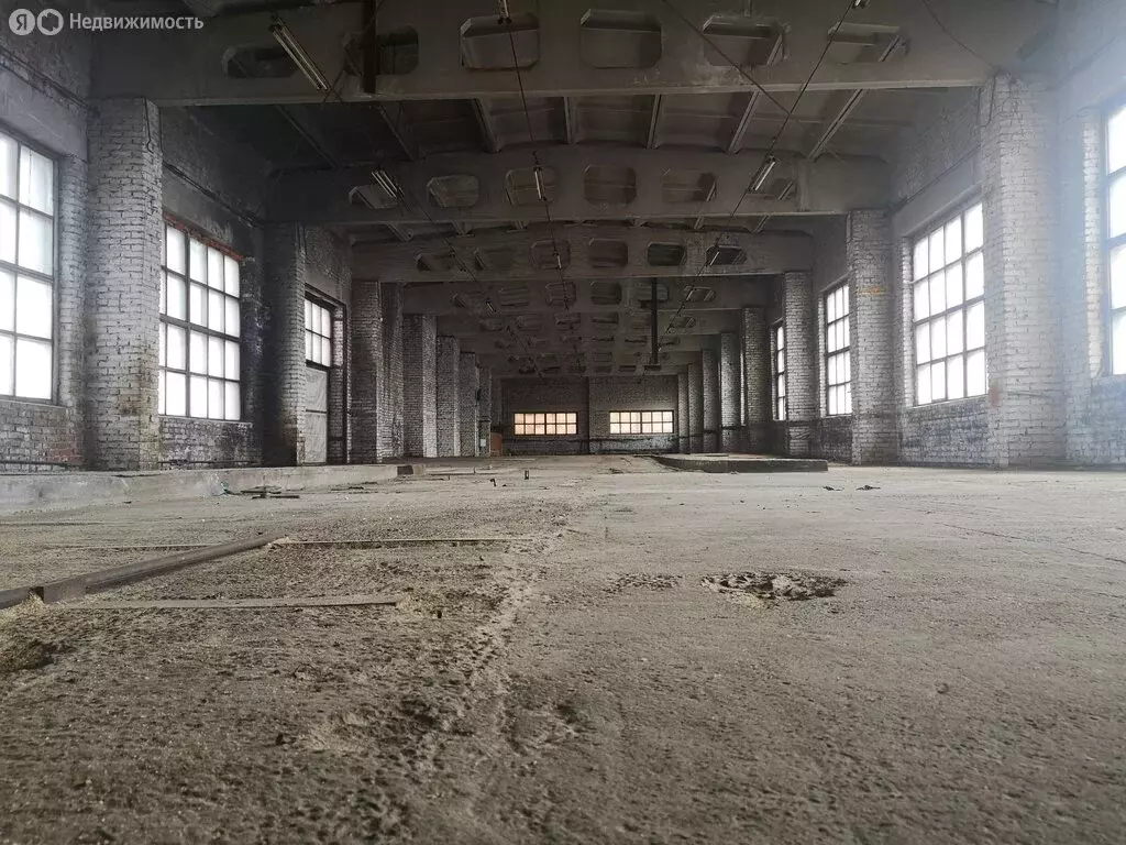 Помещение свободного назначения (745 м) - Фото 1