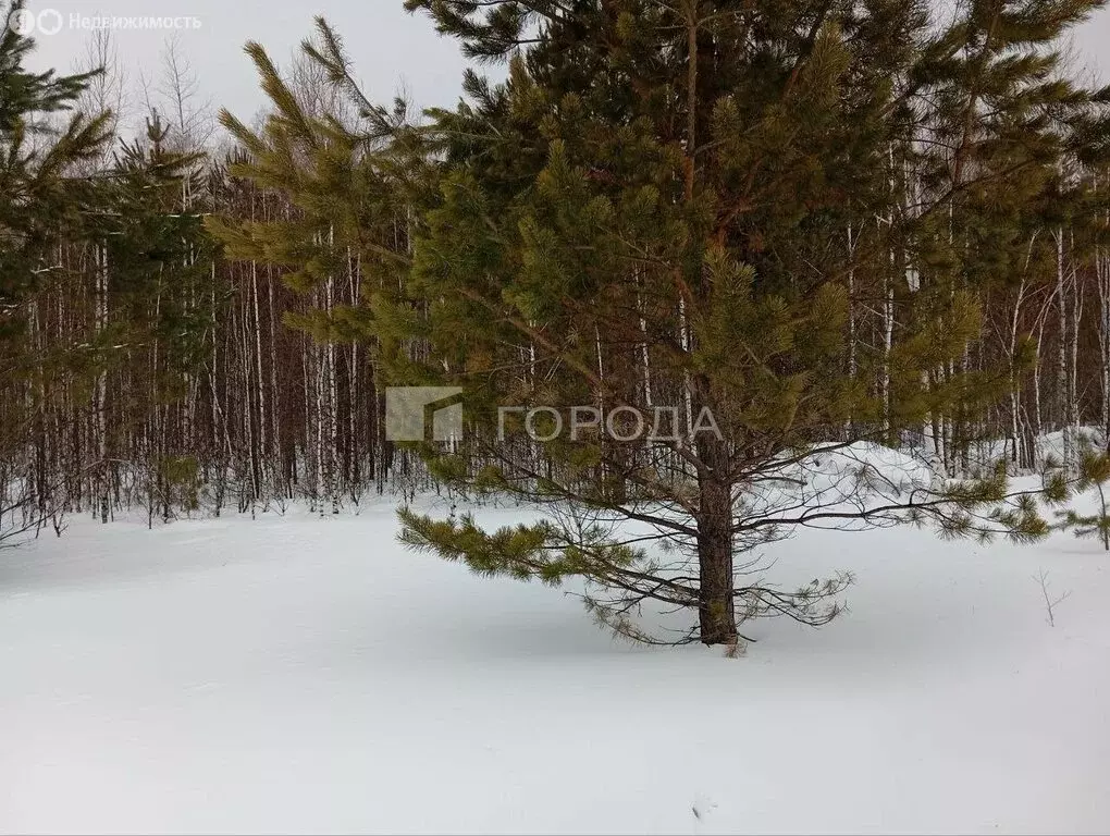 Участок в Кубовинский сельсовет, коттеджный посёлок Шервуд (6 м) - Фото 1