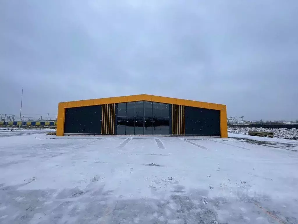 Торговая площадь в Московская область, Раменский муниципальный округ, ... - Фото 1