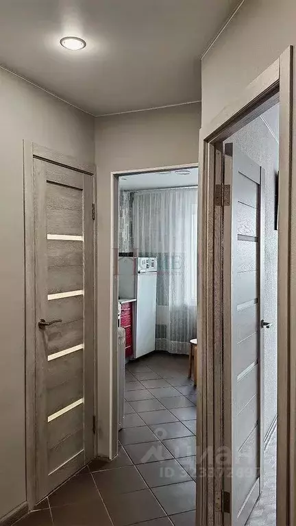 2-к кв. Новосибирская область, Новосибирск ул. Гоголя, 206 (50.2 м) - Фото 2