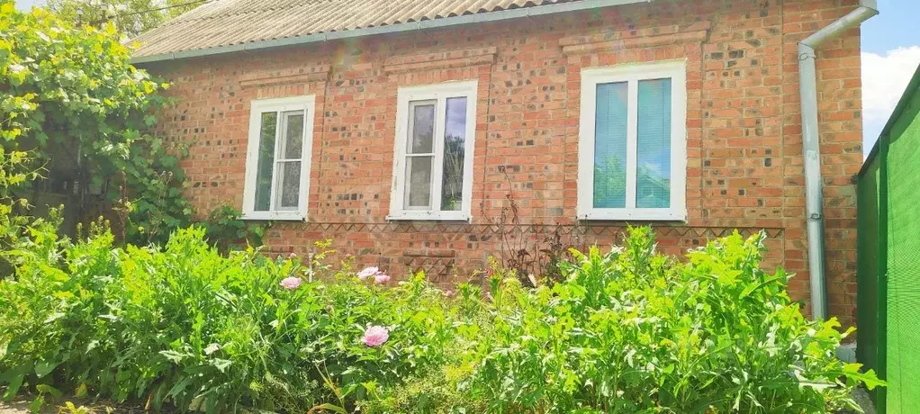Дом в Ростовская область, Матвеево-Курганский район, с. Ряженое ... - Фото 2