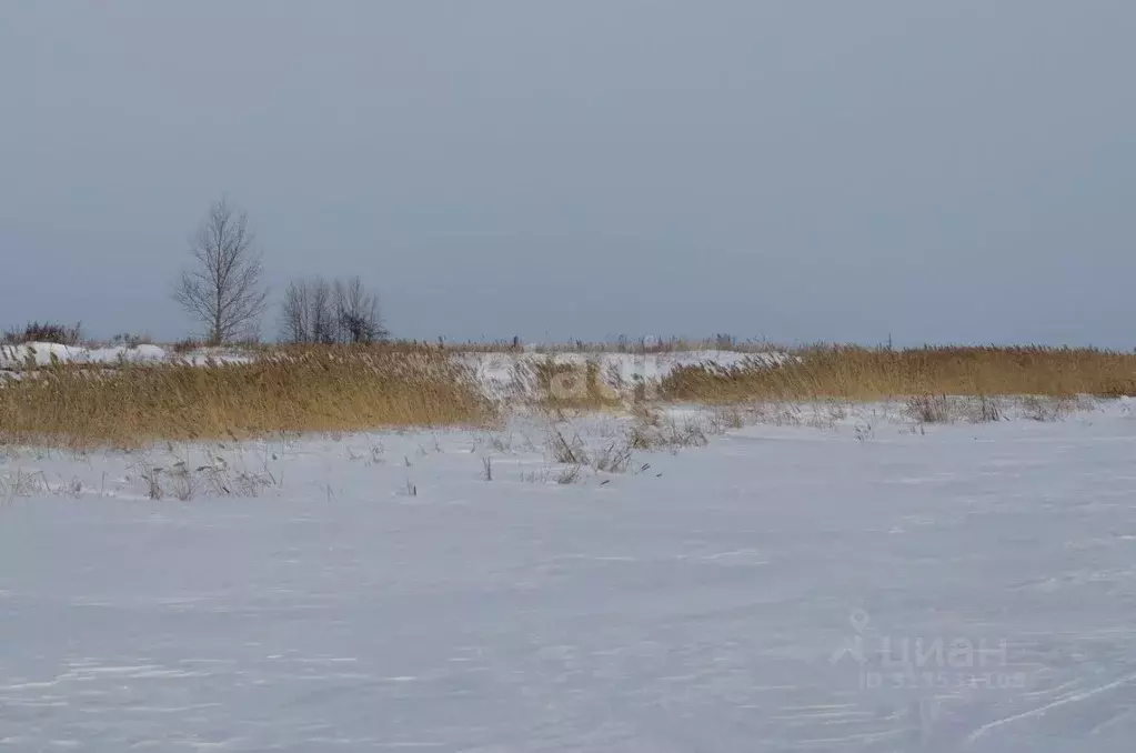 Участок в Архангельская область, Котласский муниципальный округ, ... - Фото 1