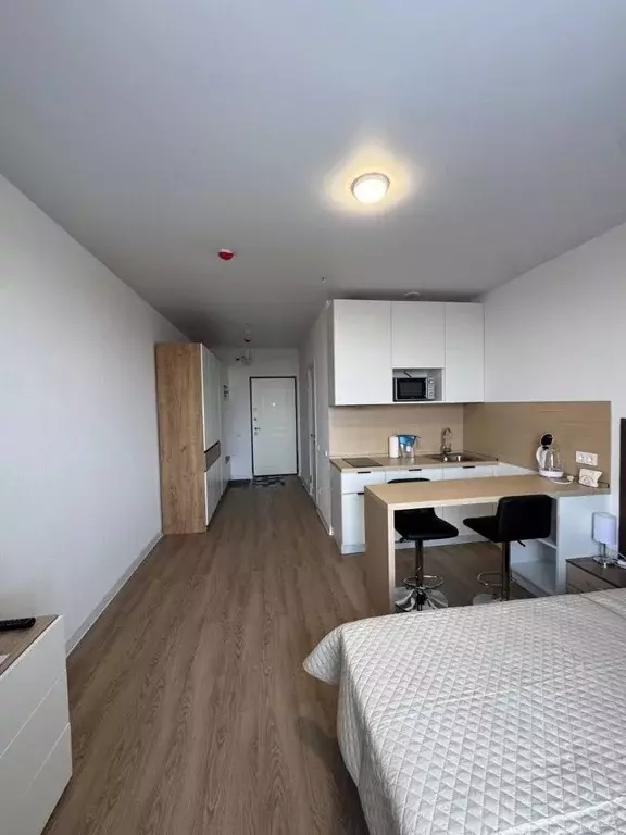 Студия Москва Пятницкое ш., 56Б (24.2 м) - Фото 1