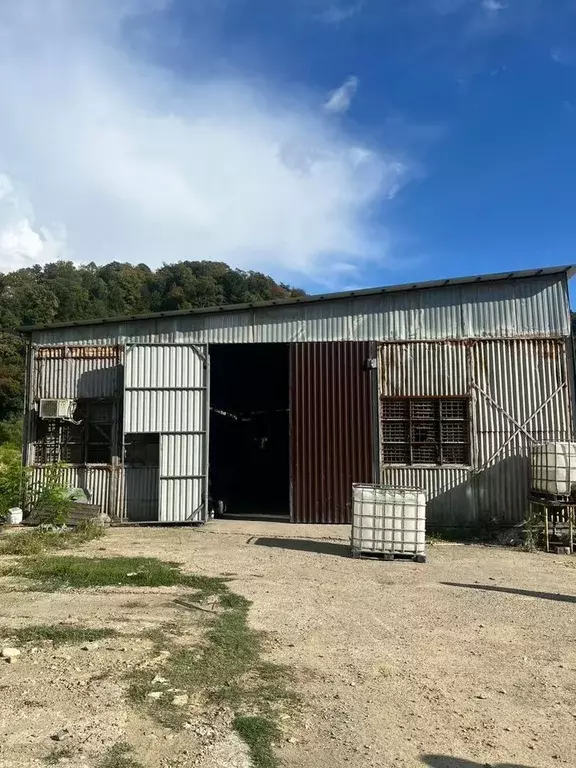 Склад в Краснодарский край, Сочи ул. Искры, 68 (368 м) - Фото 1