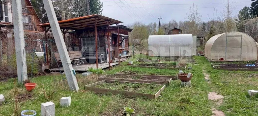 Участок в Новосибирская область, Новосибирский район, Березовский ... - Фото 1