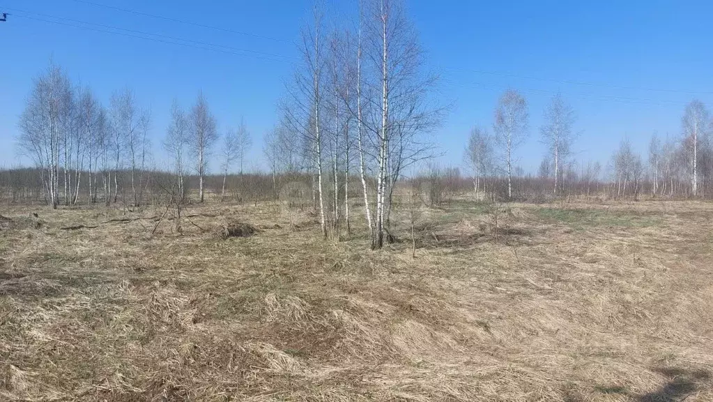 Участок в Смоленская область, Рославльский муниципальный округ, с. ... - Фото 1