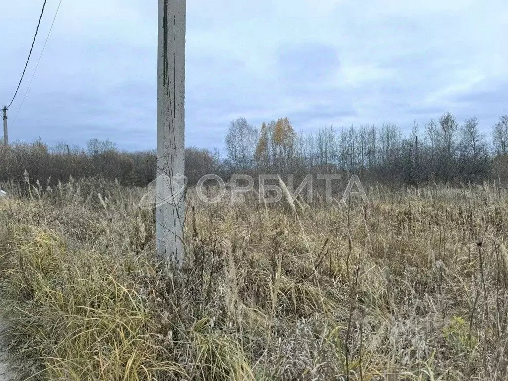 Участок в Тюменская область, Тюмень Царево СНТ, ул. Тальниковая (23.0 ... - Фото 2