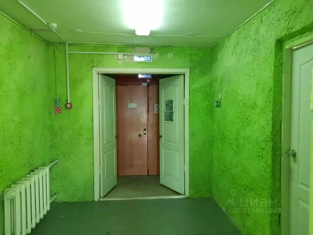 Помещение свободного назначения в Пермский край, Краснокамск пос. ... - Фото 2