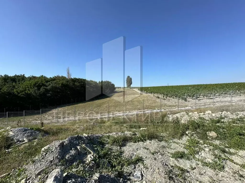 Участок в Краснодарский край, Новороссийск городской округ, с. Мысхако ... - Фото 2