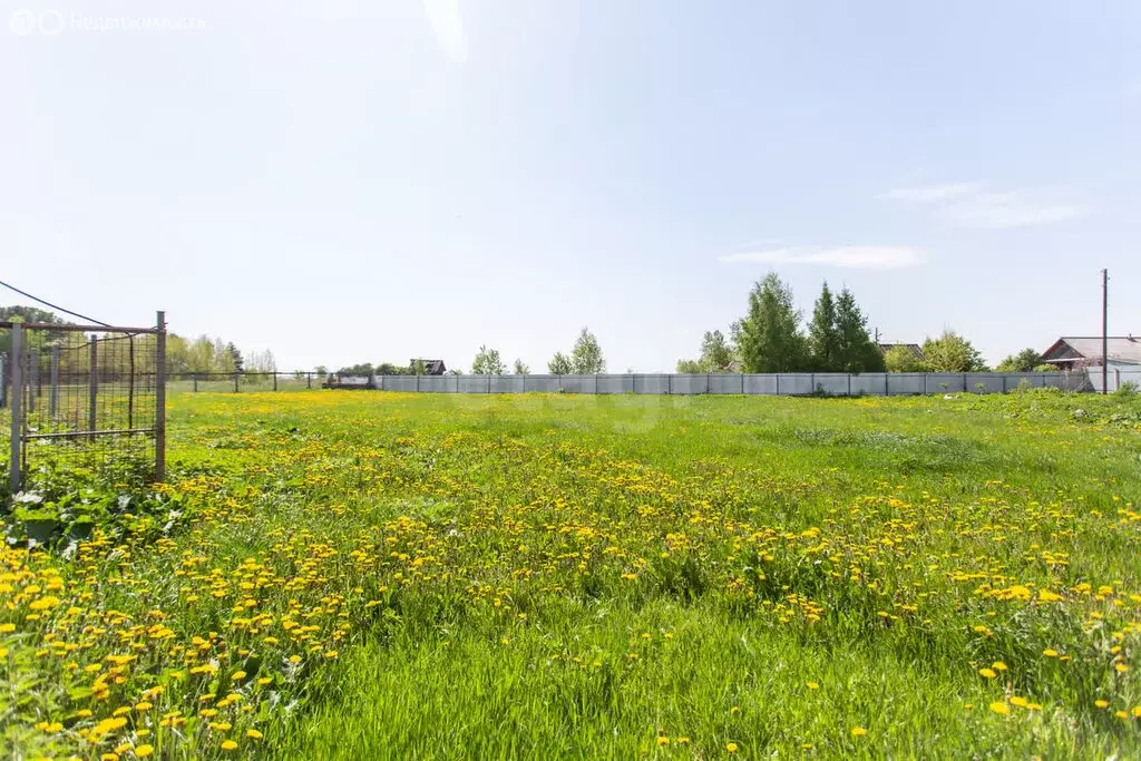 Участок в село Преображенка, Кедровая улица (16.5 м) - Фото 0