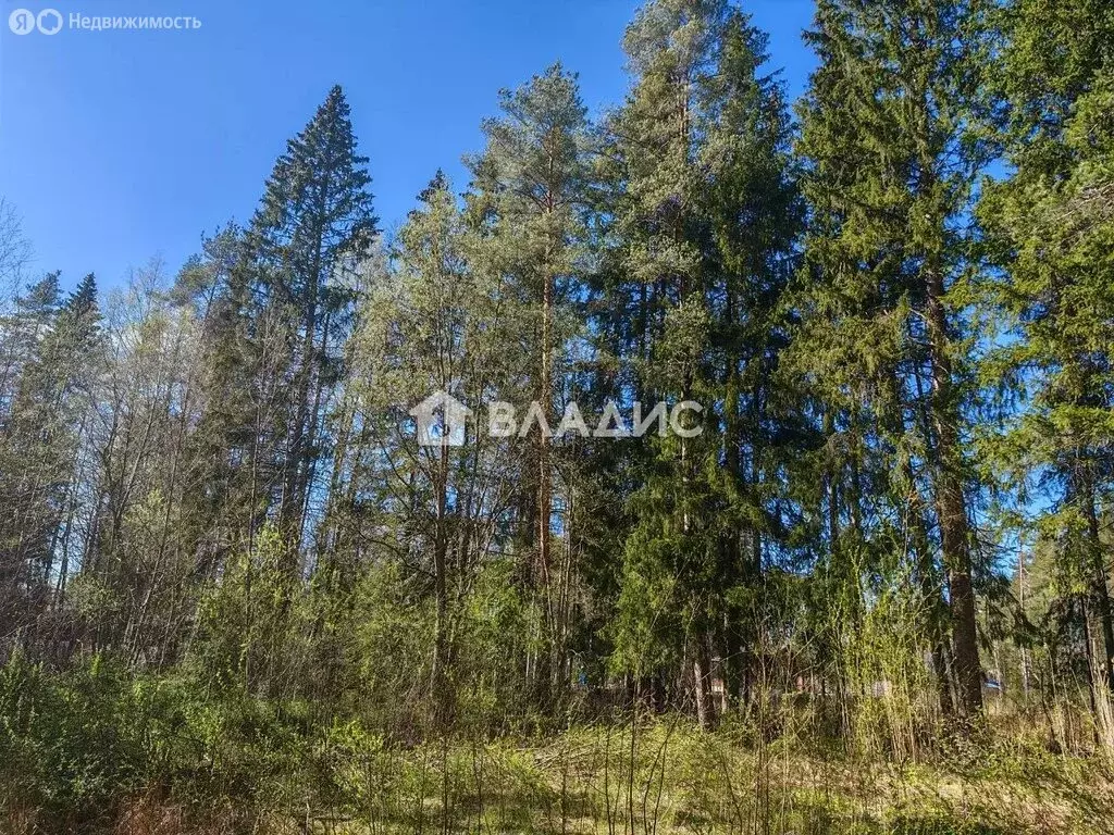 Участок в городской посёлок Рощино, Лесная улица, 8А (19.99 м) - Фото 1