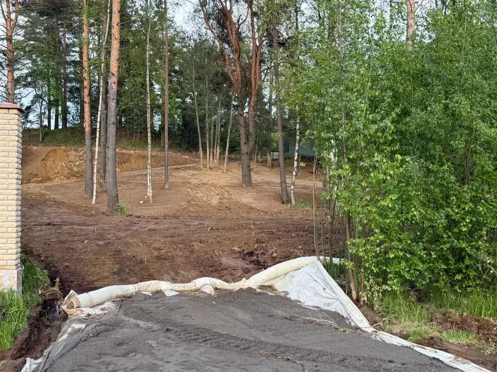 Участок в Ленинградская область, Всеволожский район, Бугровское ... - Фото 1