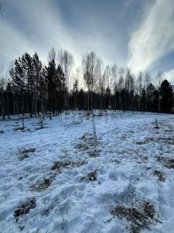 Участок в Алтай, Чемальский район, с. Бешпельтир  (1300.0 сот.) - Фото 0