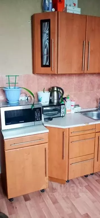 1-к кв. Московская область, Домодедово Южный мкр, ул. Курыжова, 25 ... - Фото 2