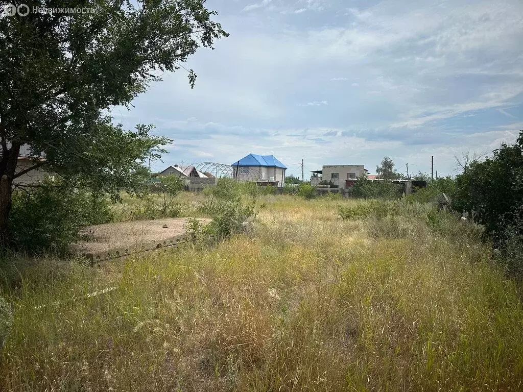 Участок в Царицын, садоводческое некоммерческое товарищество Диана, ... - Фото 0