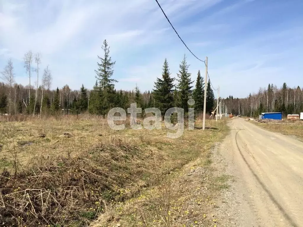 Участок в Свердловская область, Нижний Тагил муниципальный округ, с. ... - Фото 0