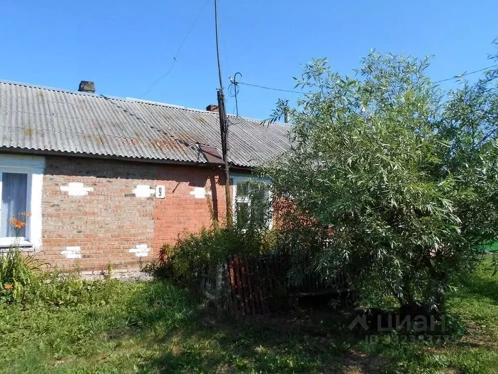 Дом в Омская область, Горьковское рп ул. 8 Марта, 9 (25 м) - Фото 2
