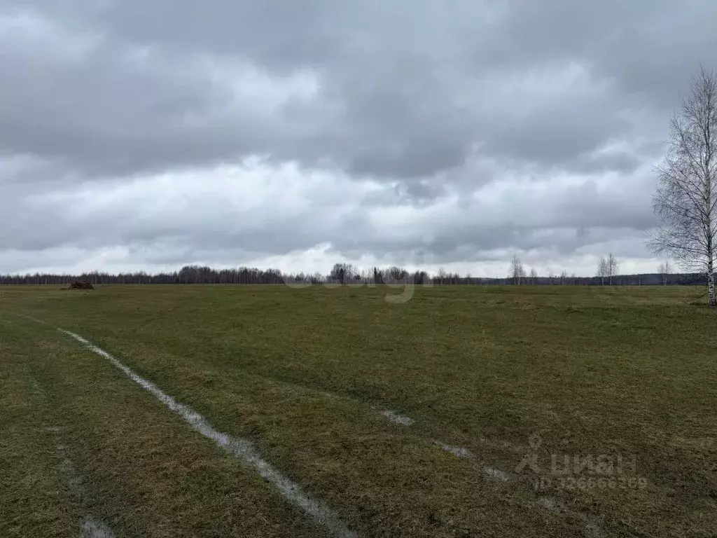 Участок в Пермский край, Ильинский муниципальный округ, д. Плотники ... - Фото 1