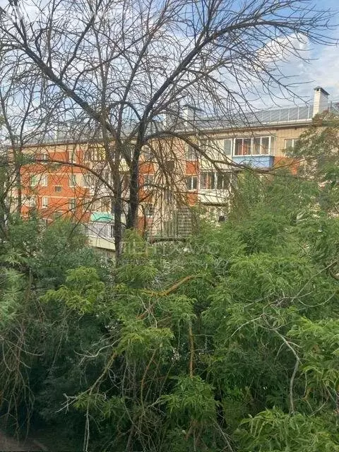 2-комнатная квартира: Владимир, улица Доватора, 2 (37.6 м) - Фото 1