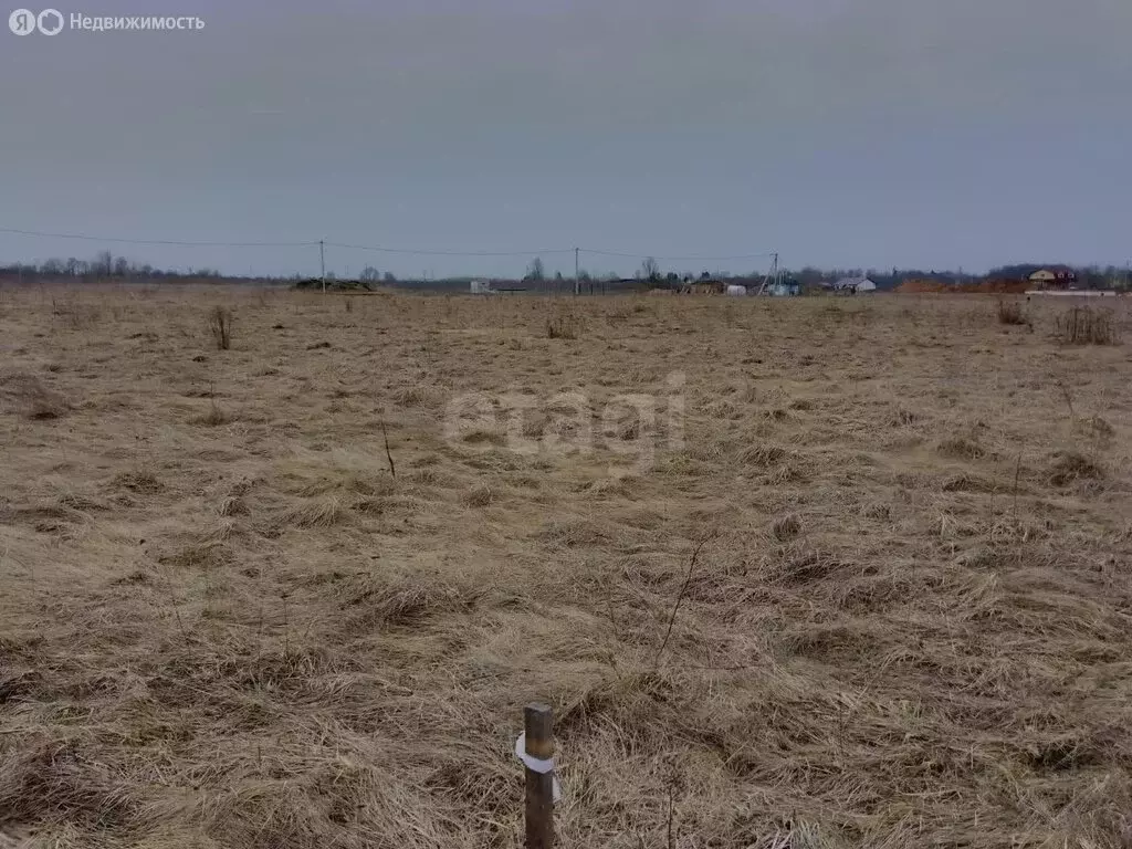 Участок в Псковский район, Завеличенская волость, деревня Борисовичи ... - Фото 1