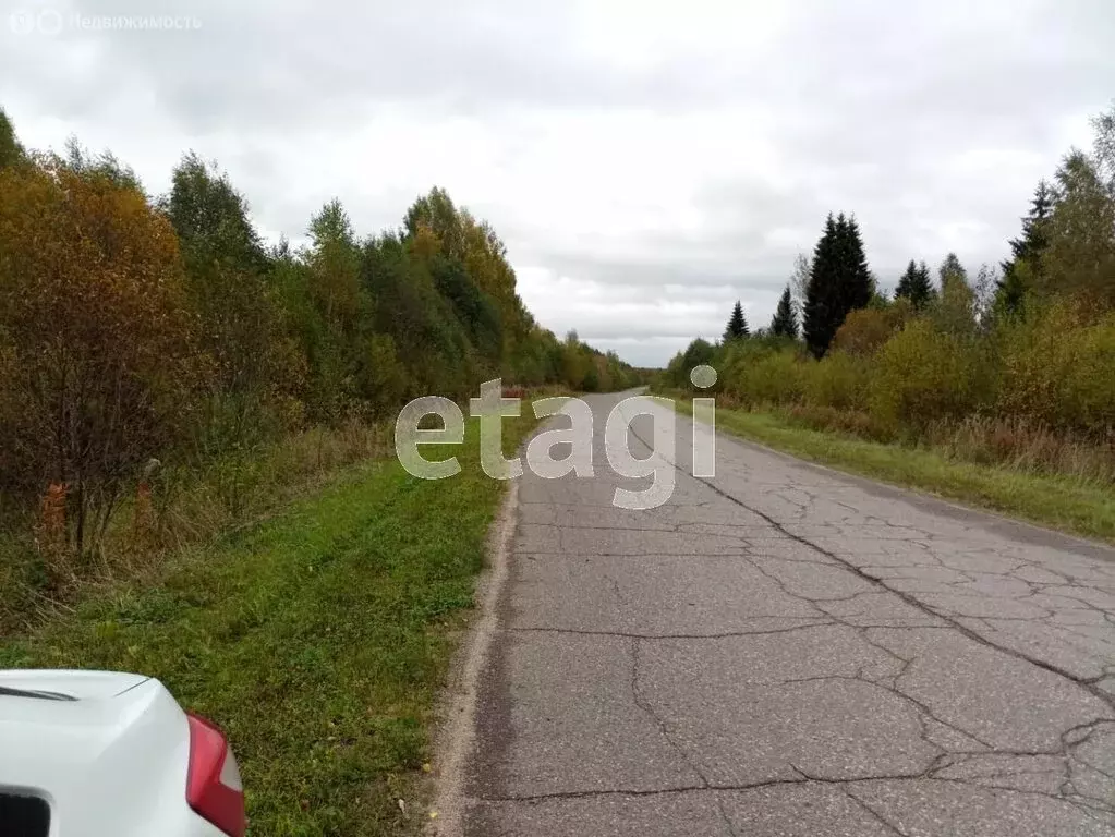 Участок в Вологодская область, Усть-Кубинский муниципальный округ, ... - Фото 1