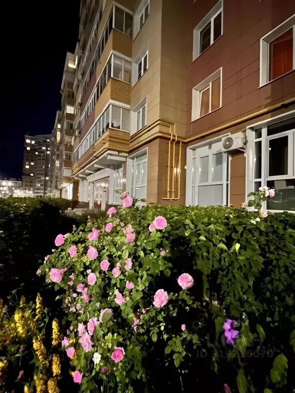 2-к кв. Чувашия, Чебоксары ул. Пирогова, 1к1 (62.0 м) - Фото 0