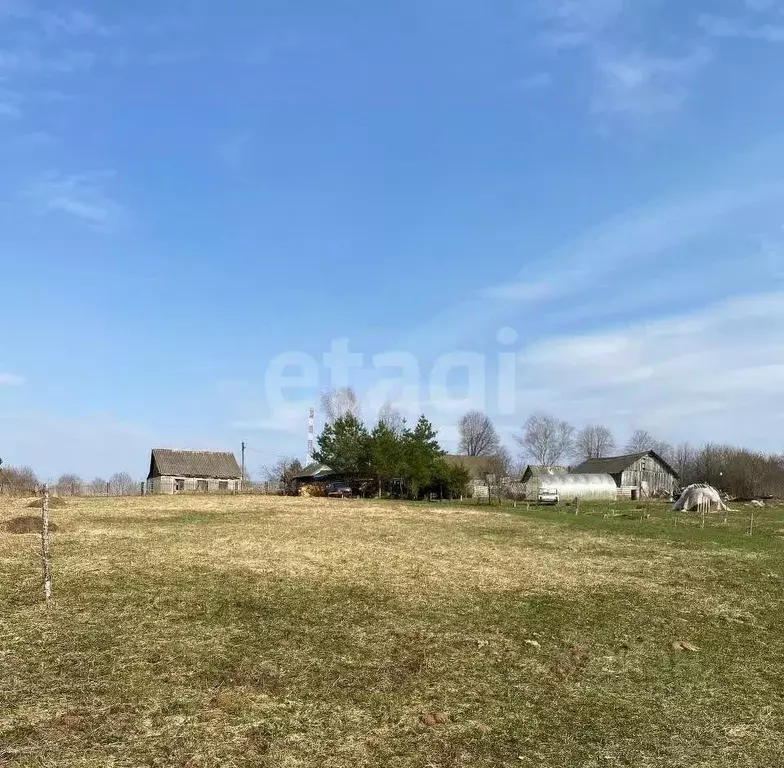 Участок в Смоленская область, Руднянский муниципальный округ, д. ... - Фото 1