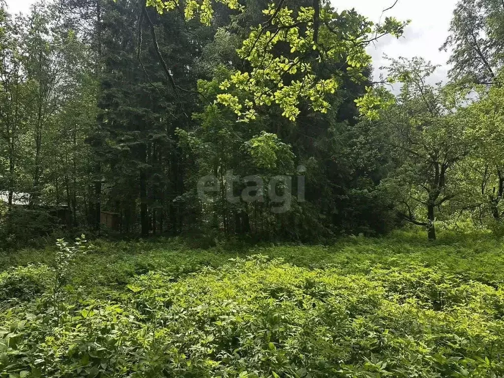 Участок в Московская область, Пушкинский городской округ, ... - Фото 1