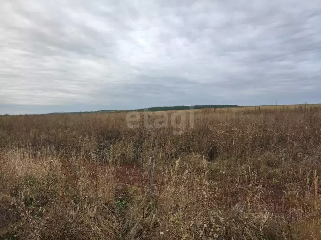 Участок в Ульяновская область, Ульяновск городской округ, с. Кротовка ... - Фото 1
