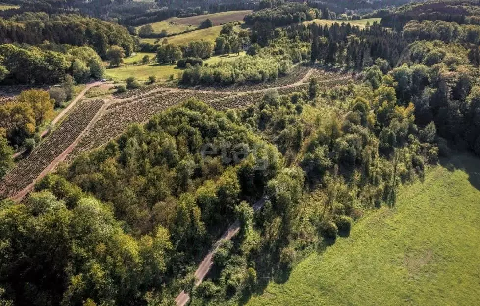 Участок в Пермский край, Пермский муниципальный округ, Башкултаевский ... - Фото 1