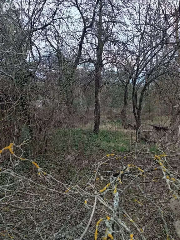 Участок в Ериковское сельское поселение, садоводческое товарищество ... - Фото 2