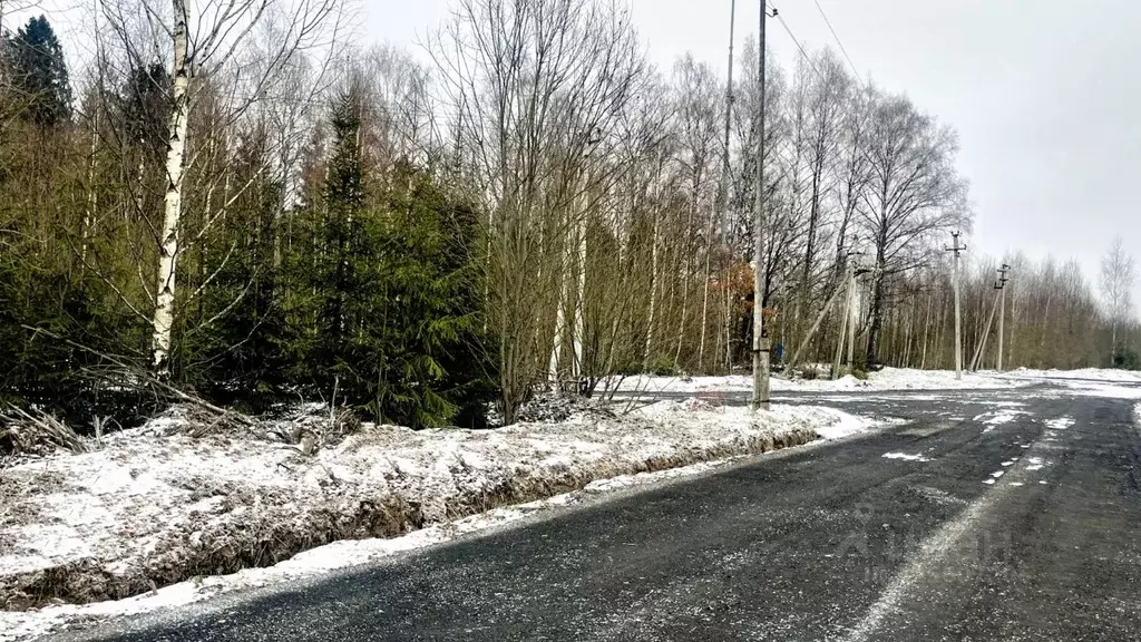 Участок в Московская область, Пушкинский городской округ, д. Алешино ... - Фото 2