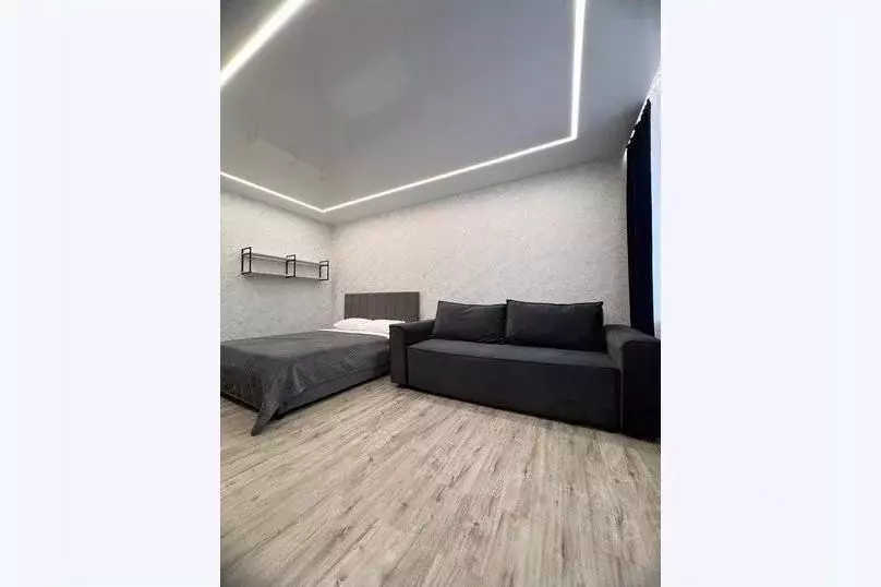 1-к кв. Амурская область, Благовещенск ул. Ломоносова, 197 (42.0 м) - Фото 2