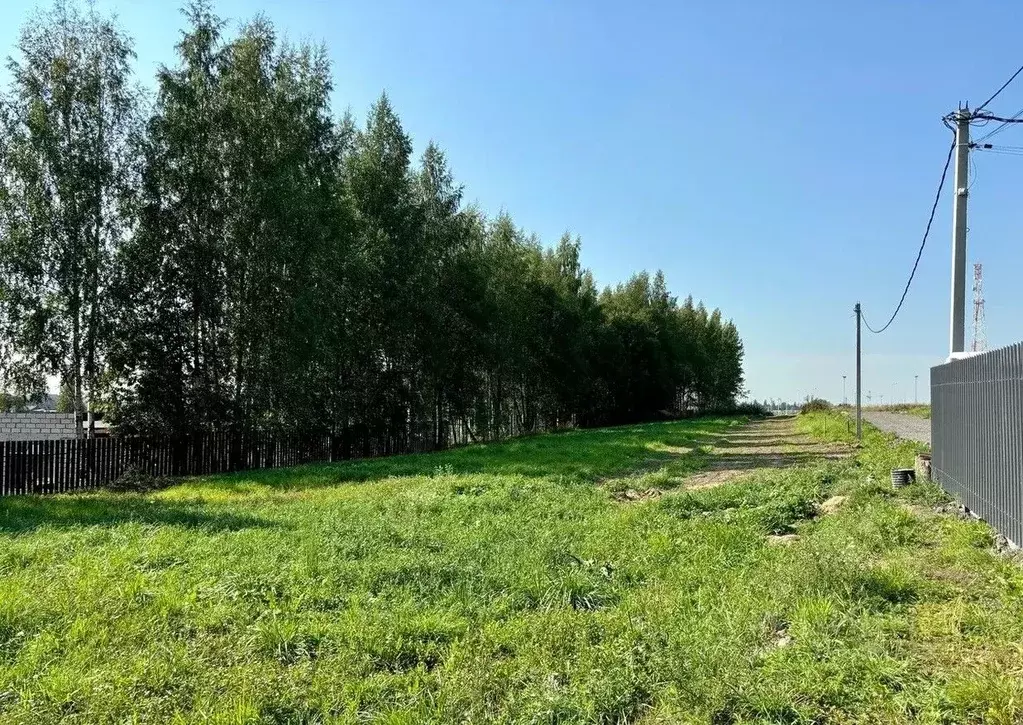 Участок в Ленинградская область, Всеволожский район, Агалатовское ... - Фото 1