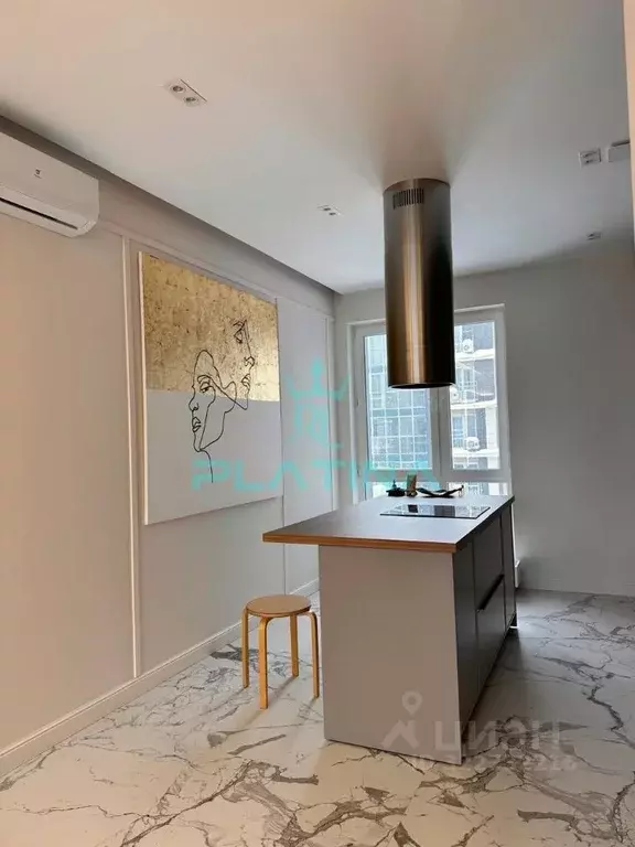 1-к кв. Татарстан, Казань ул. Генерала Ерина, 13к1 (70.0 м) - Фото 1