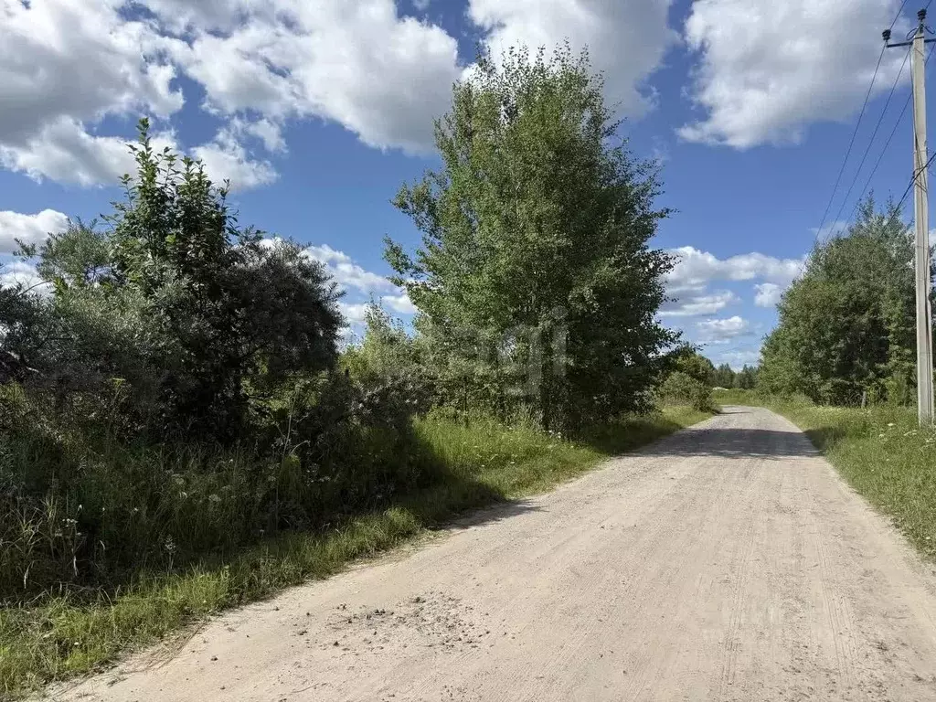 Участок в Тюменская область, Нижнетавдинский муниципальный округ, ... - Фото 1