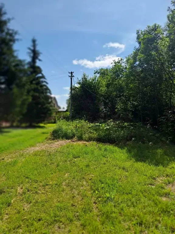 Участок в Нижегородская область, Городецкий муниципальный округ, д. ... - Фото 1