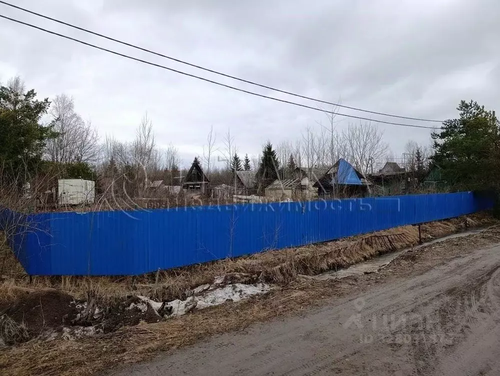 Участок в Ленинградская область, Кировский район, Мгинское городское ... - Фото 1
