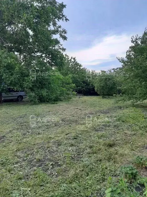 Дом в Волгоградская область, Волгоград Горчичник СНТ,  (20 м) - Фото 1