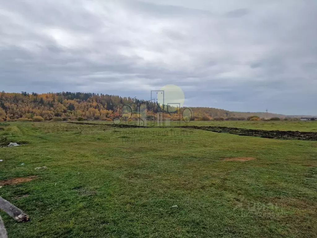 Участок в Иркутская область, Иркутский муниципальный округ, д. Куда ... - Фото 2