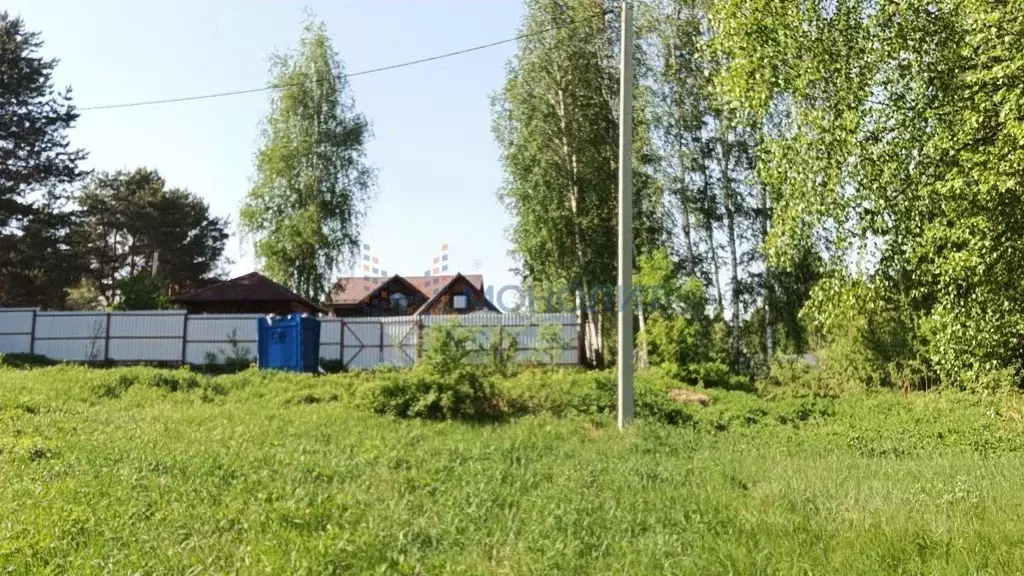 Участок в Нижегородская область, Бор муниципальный округ, д. Рябинки  ... - Фото 1