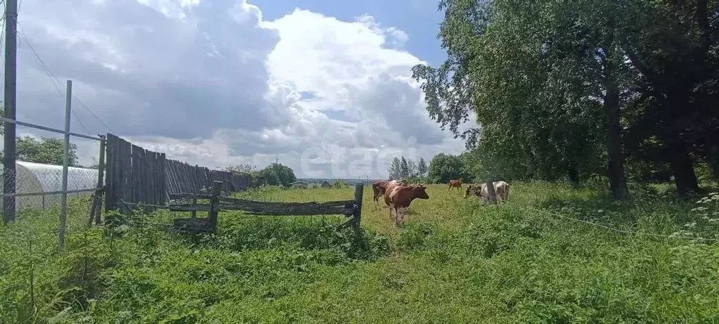 Участок в Смоленская область, Смоленский муниципальный округ, д. ... - Фото 1