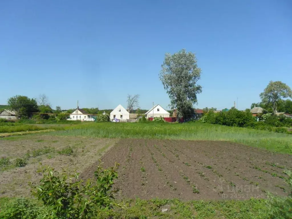 Участок в Белгородская область, Борисовский район, Стригуновское ... - Фото 1
