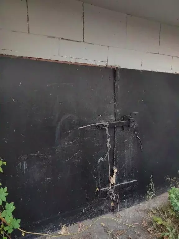Дом в Самарская область, Тольятти ул. Мира, 88 (30 м) - Фото 0